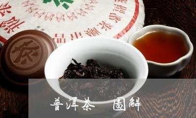 普洱茶 图解/2023042826997